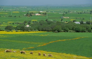 Farm in Morocco. Photo credit: World Bank on Flickr.