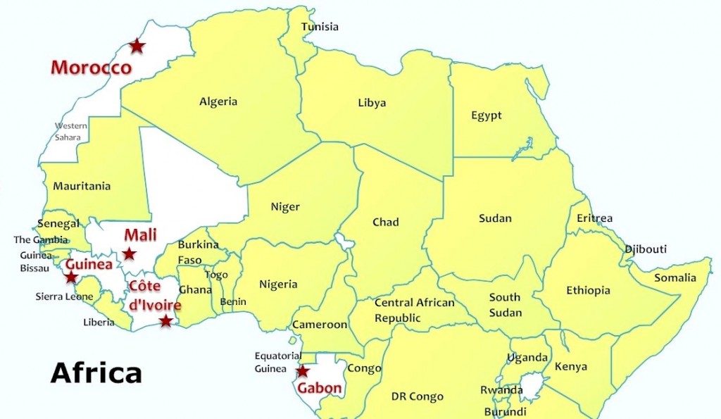 King Mohammed VI's recent four-nation Africa trip.  Map: MOTM